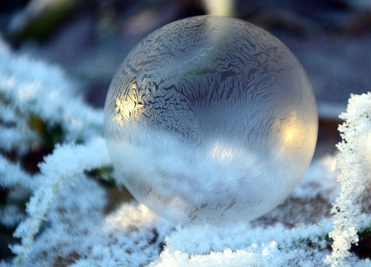 Une nuit en plein air dans une bulle transparente