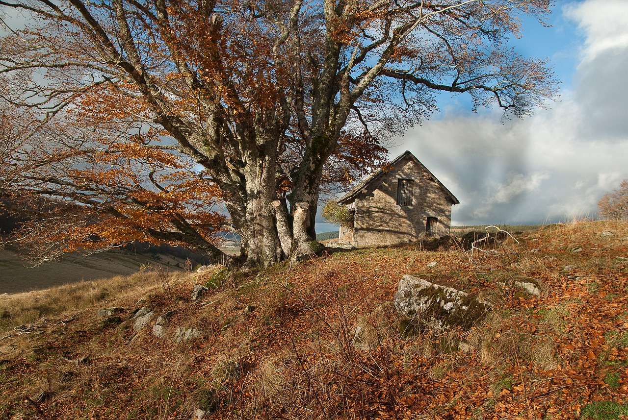 Pour un séjour tourné vers la nature, choisissez la Lozère