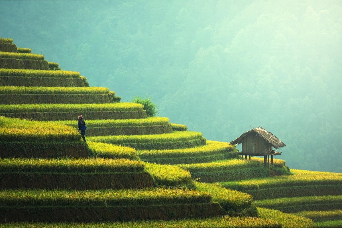 Partir à Bali : guide voyage complet pour préparer son séjour