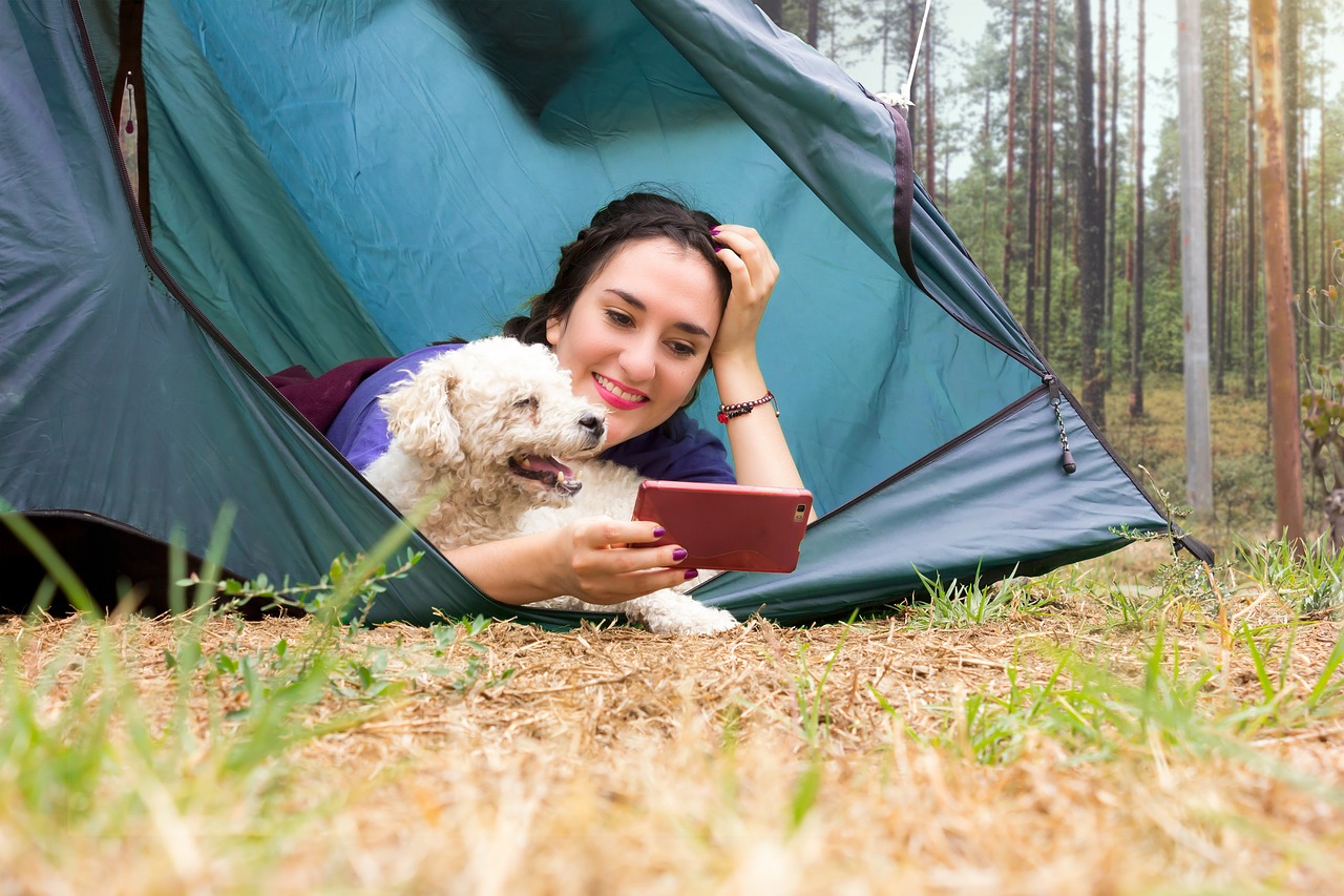 Camping avec son chien : le guide pour bien partir